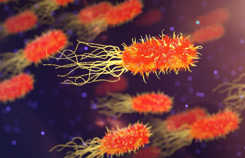 Fonctionnement des biopiles