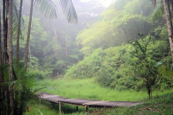 Le recyclage insuffisant en Guyane