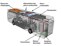 Les bus à piles à combustible