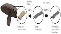 La batterie saveur champignon dont les capacités s'accroissent avec le temps