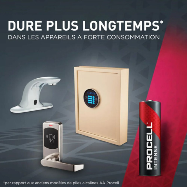 10 Piles Alcalines AA LR6 PX1500 Intense 1.5V Duracell Procell